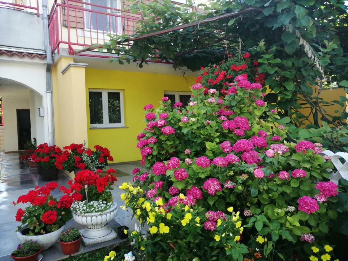Apartments Sara Лабин Екстериор снимка